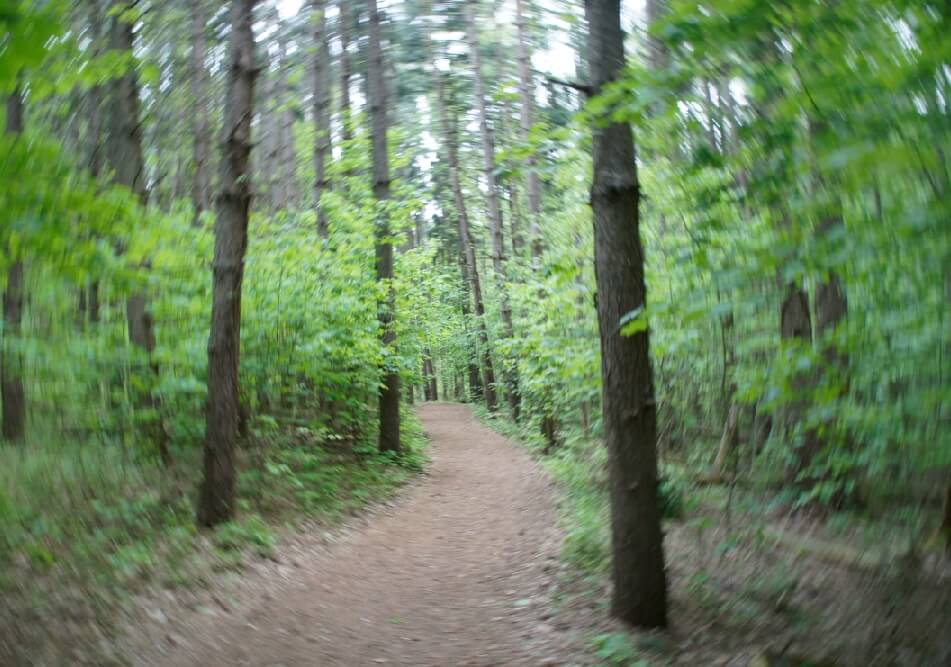 Beaver Lake Nature Center Hours Beaver Lake Nature Center Hours